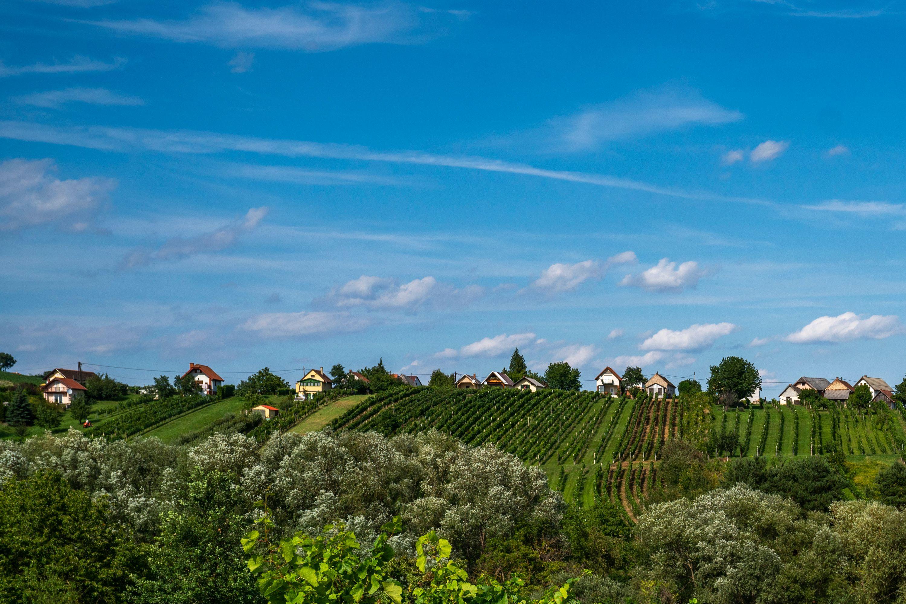 Eine Reihe von Häusern auf einem Hügel in Burgenland, Österreich