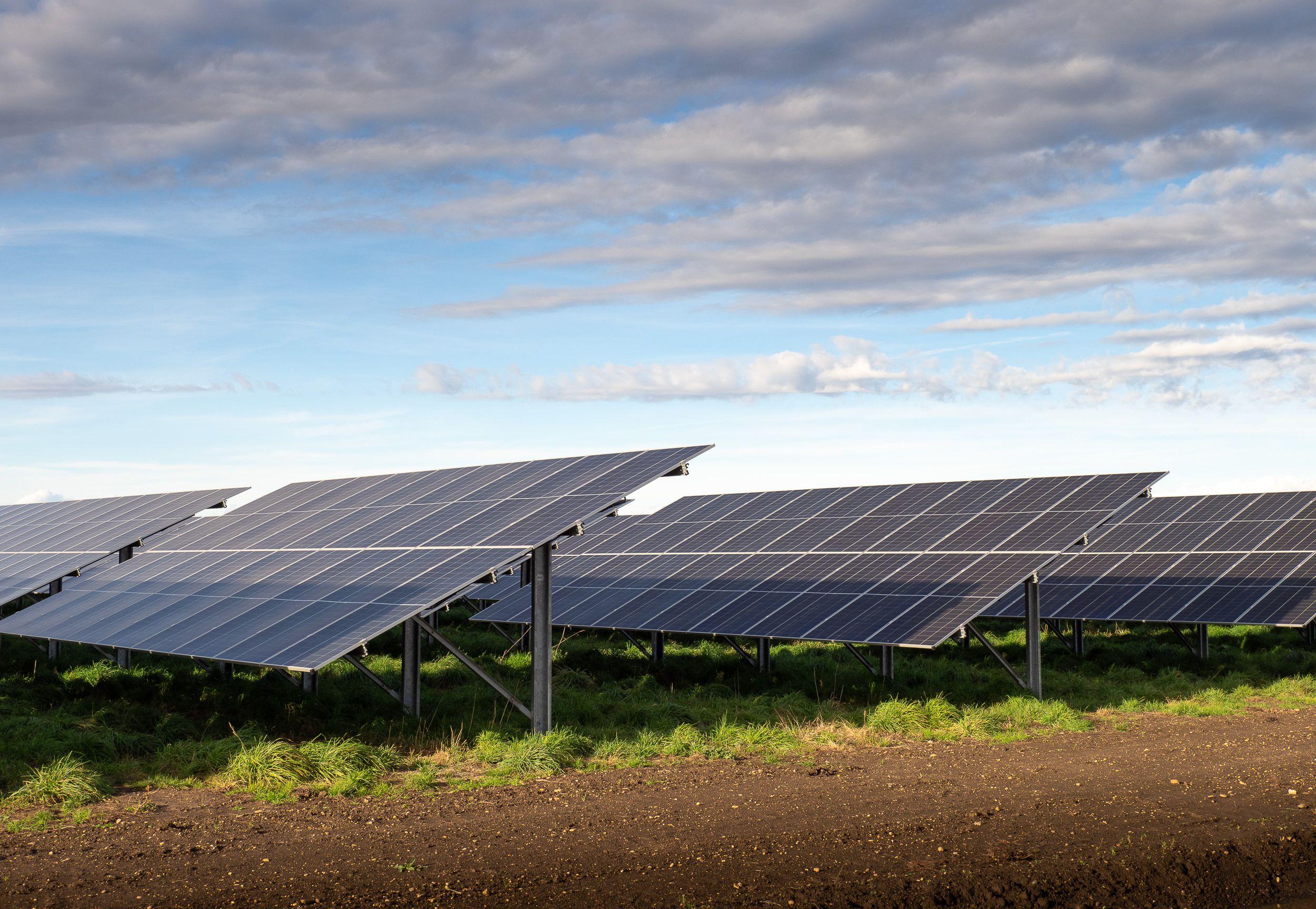 Reihe von Solarpaneelen auf einem Feld bei Sonnenuntergang