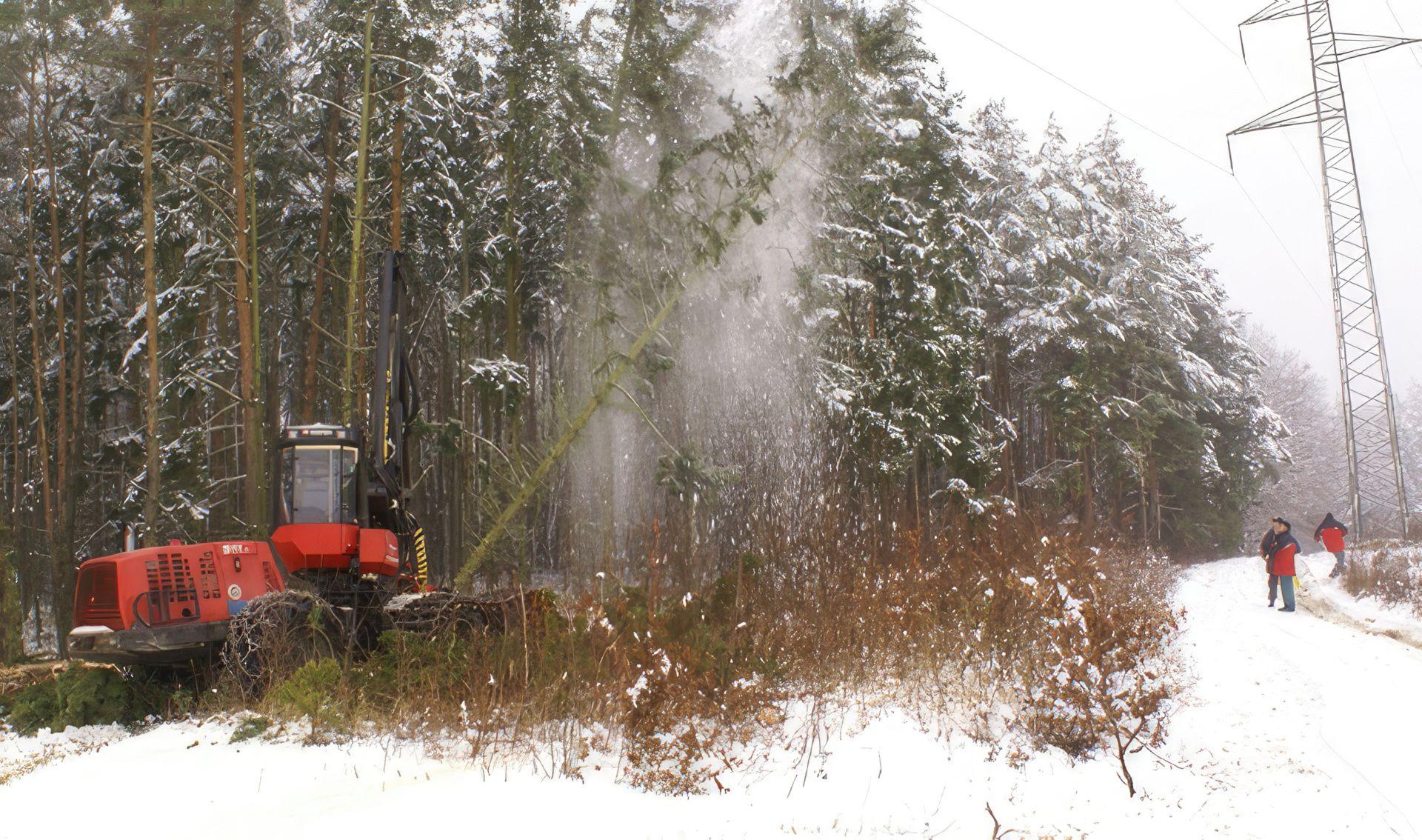 Ein Harvester fällt einen Baum in einer Winterlandschaft.
